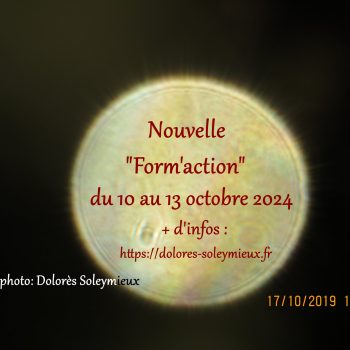 form'action 2024